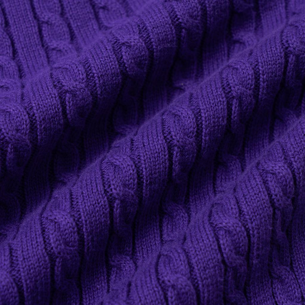 Polo Ralph Lauren Sweater Pony Logo Embroidered Zipper Hoodie Long Sleeve Kids Tops Purple 313916533-007