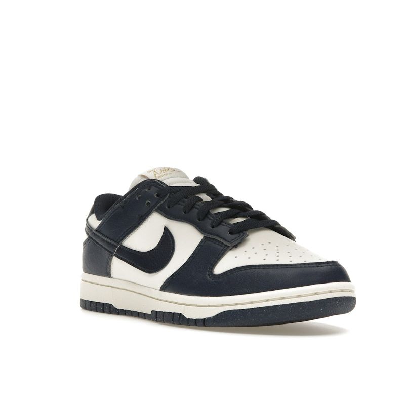 Nike Dunk Low Next Nature Olympic Women Sneakers Blue Phantom Obsidian FZ6770-001