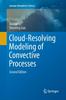 Книга Cloud-Resolving Modeling of Convective Processes