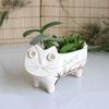 1pc Cute Ceramic Cat For Succulents Decorative Succulents Pot Mini Flower Pot Home Garden Decor