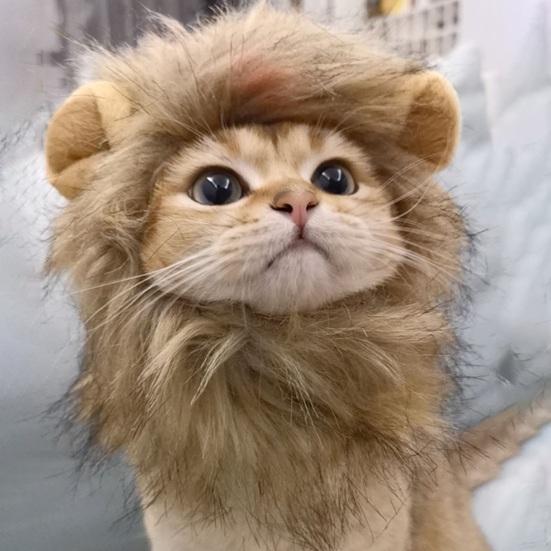 Cute Lion Style Dog Cat Hat Super Soft Breathable Friendly To Skin Lightweight Novelty Pet Hat Headwear Photography Prop