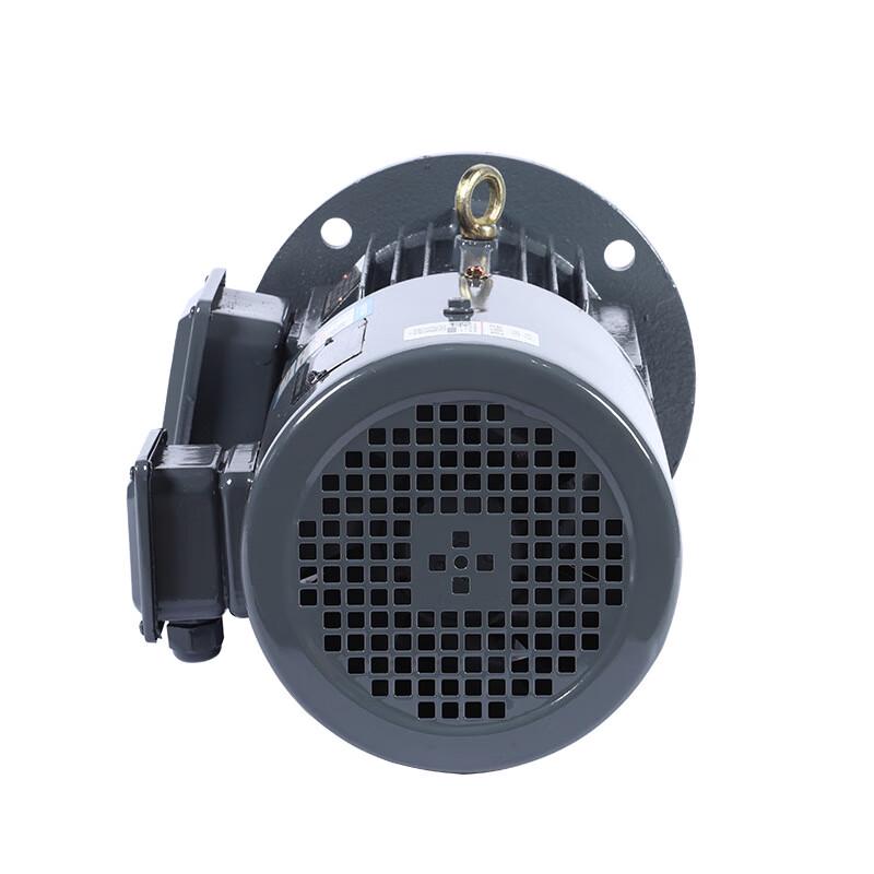 Shengfu Yong YVF2-160L-4 Three-Phase Asynchronous Motor