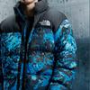 THE NORTH FACE 1996 Down Jacket Winter Unisex Blue NF0A3C8D-TPZ