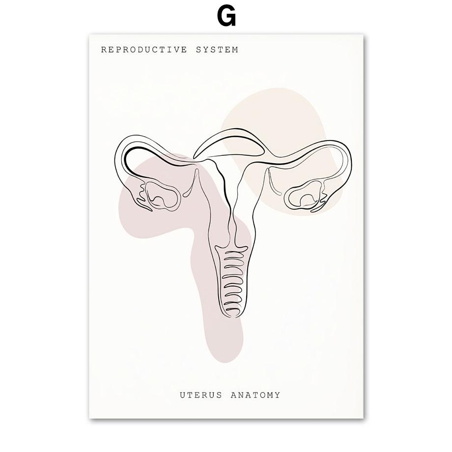 Минималистичный Красочный Анатомический Линия, медицинский плакат и принты, настенное искусство, ухо, гортань, сердце, холст, картина, доктор, подарок, декор для клиники