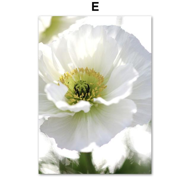 White Daisy Succulent Aloe Tropical Plant Wall Art Canvas Painting Nordic Posters And Prints Wall Pictures For Living Room Decor