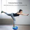 Pandenwell Balance Air Cushion & Massage Ball Set