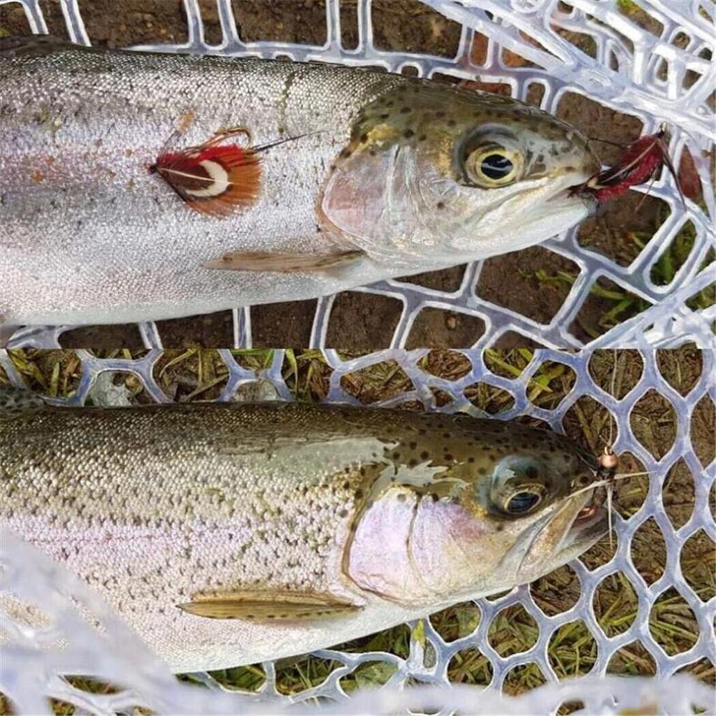 24 шт. латунная бусина с головкой, приманки для рыбалки нахлыстом, приманки для ловли форели, приманки с коробкой для мух