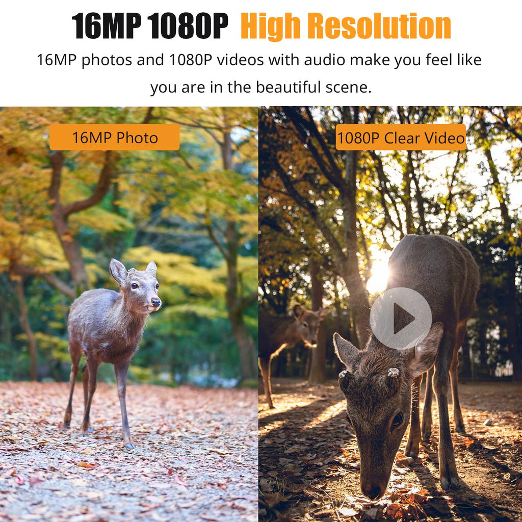 1080P Trail Game Hunting Camera With IR Night Vision, Motion Detection, IP66 Waterproof, 0.6S