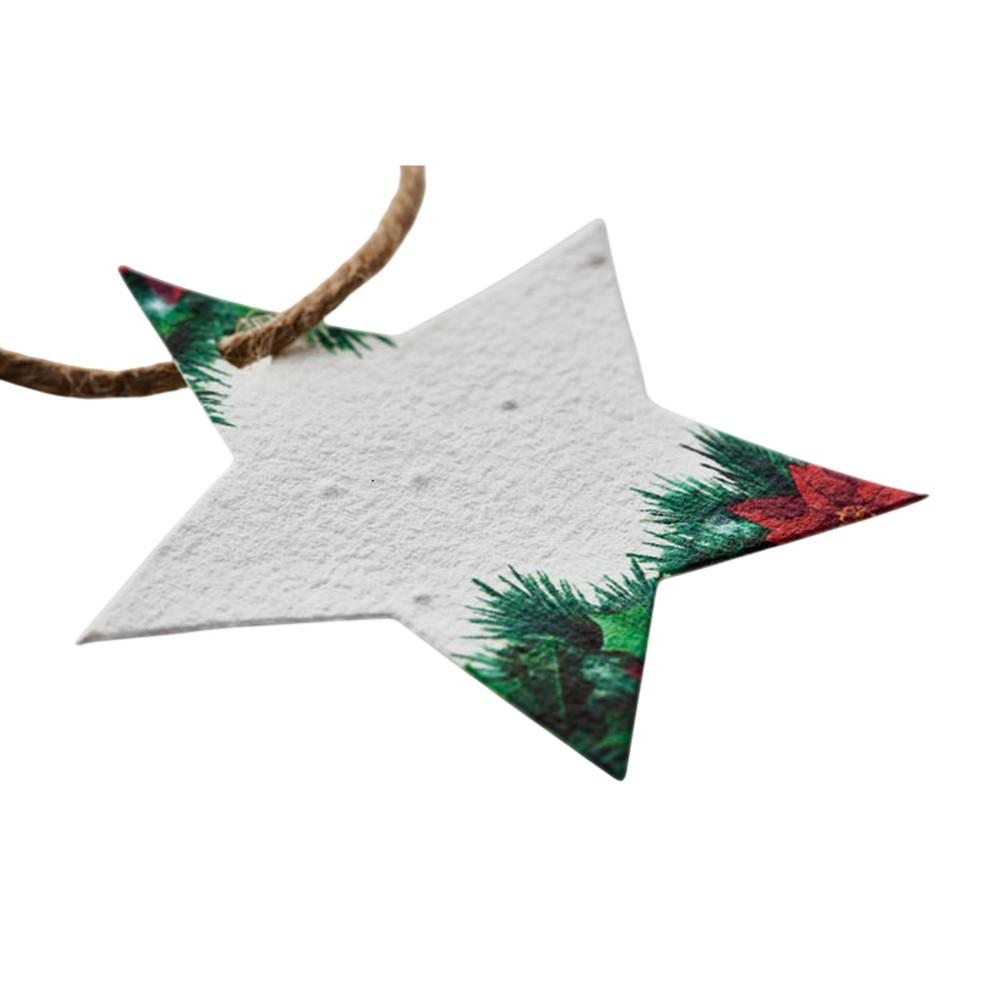 MidOcean Starseed Seed Paper Star Christmas Hanging Ornament