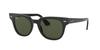 Sunglasses 0RB2168 METEOR BLACK Japan Size 50 Ray-Ban 901/31 (Free Size)