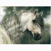 Diamond Painting Cross Stitch "Long Hair Horse" Diamond Embroidery Rhinestone Mosaic Home Decor