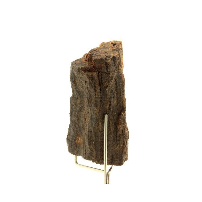 Pierres et Minéraux. Bois pétrifié. 300.0 ct. Arizona, USA.