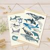 Образовательный плакат Киты Морское животное Плакат для детской комнаты Игровая комната Детская комната С изображением милых животных Деревянная рама-вешалка