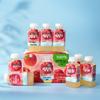 Chuyin 100% Apple Juice - Yantai Red Fuji