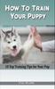 Книга How To Train Your Puppy : 10 Top Training Tips for Your Pup