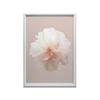 Pastelowy Kwiat W Detalu Pastelowy Kwiat W Detalu, 70X100 Cm, Rama Drewniana Jasny Dąb, Papier Matowy 230 Gsm