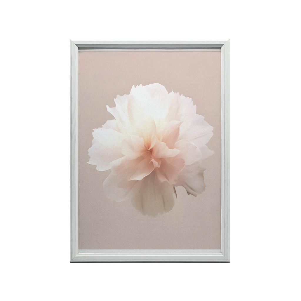 Pastelowy Kwiat W Detalu Pastelowy Kwiat W Detalu, 70X100 Cm, Rama Drewniana Jasny Dąb, Papier Matowy 230 Gsm