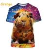Cute hamster pattern T-shirt, men's and women's 3D printed short-sleeved men's T-shirt, extra large size hip-hop T