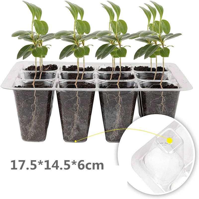Thickened 6/12-Hole Seedling Tray with Rotating Switch & Transparent Lid for Heat and Moisture Retention
