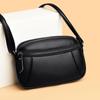 Women's Bag 2025 New Mini Shoulder Bag Small Bag Texture Soft Leather Solid Color Multi-pocket Women's Messenger Bag