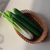 Realistic Simulation Vegetables Ornament Soft and Safe Rtificial Fake Eggplant Cucumber Ornament Replicas for Display