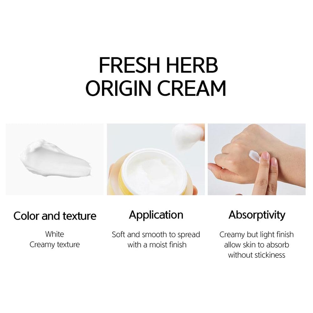 NACIFIC Крем Fresh Herb Origin 50мл