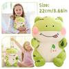 Plush Toys, Cute And Perfect Birthday Gifts For Friends And Classmates, Graduation Gifts