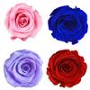 6шт/кор. 5-6см сохранившийся цветок бессмертная роза DIY Валентина свадебный праздник подарок