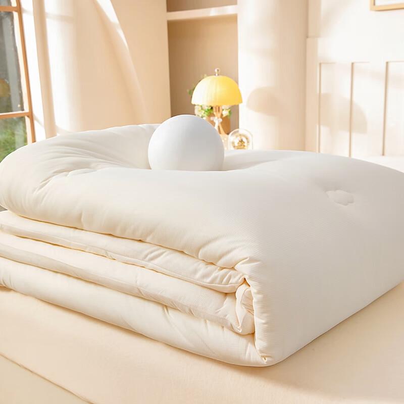 Yalu Baby Velvet Soft Winter Quilt