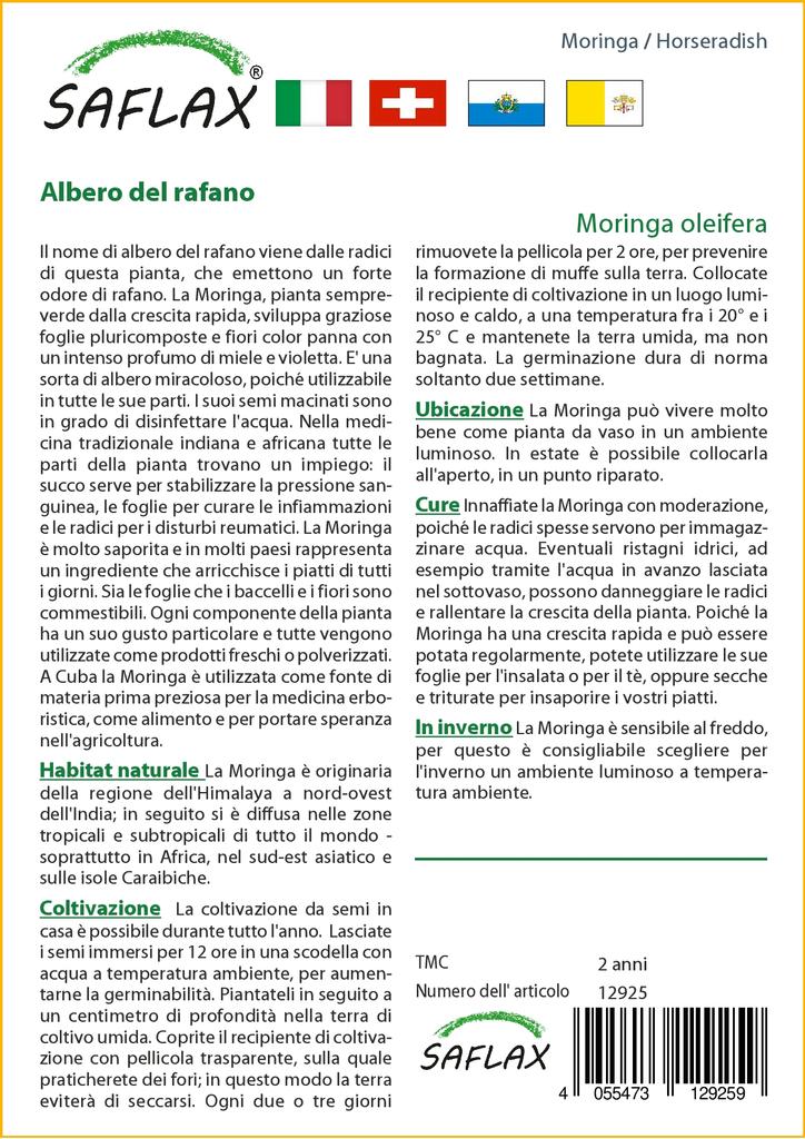 SAFLAX Хрен - 10 семян - Moringa oleifera