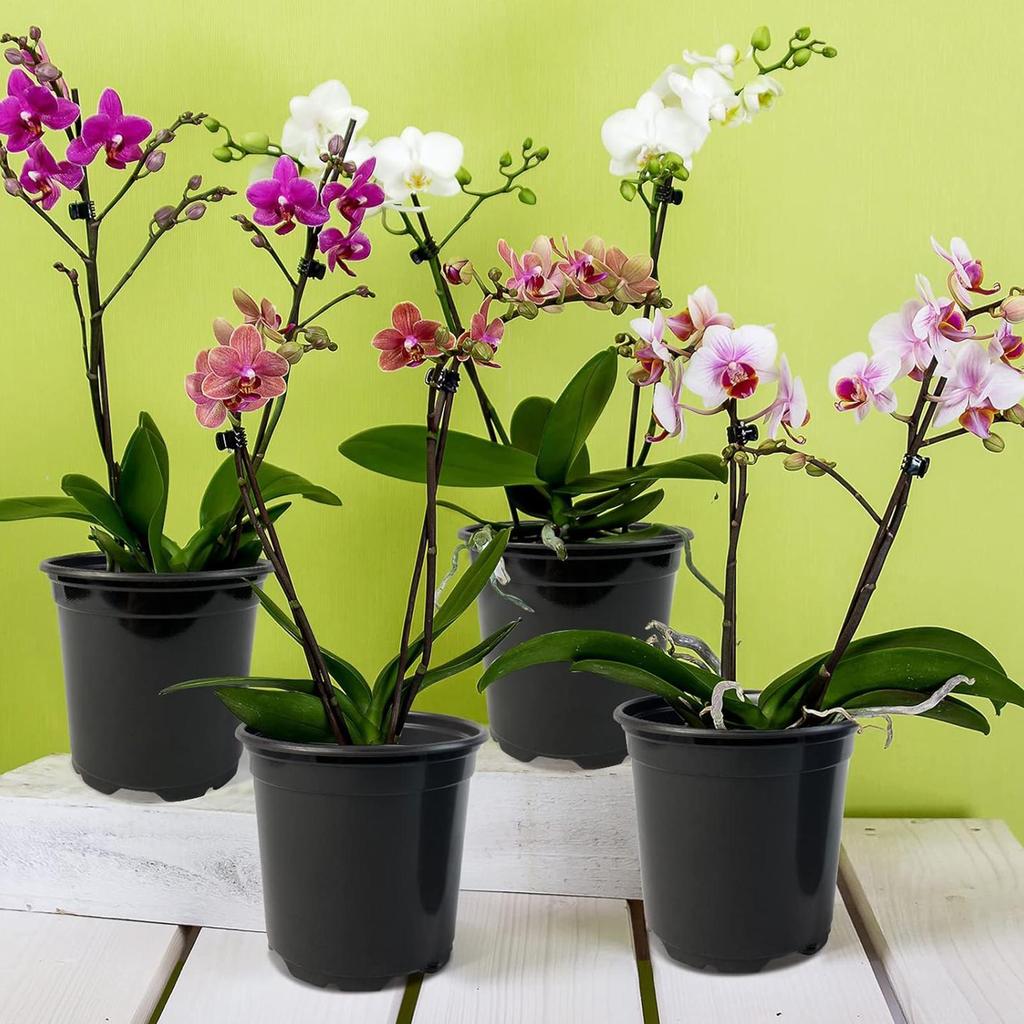 Nursery Plant Pots 100 Pieces Grow Container With Drainage Holes 4inch Flower Pots For Indoor Outdoor Garden Backyard Balcony