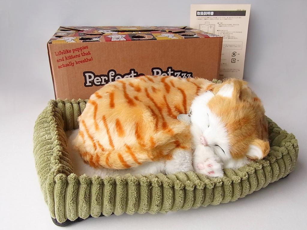 Ninian and Kino Perfect Pet Brown Tabby Cat Plush Realistic and Perfect Gift for Plush Toy (Small) Toy, Lifelike, Celebrations, Animal, Soothing,