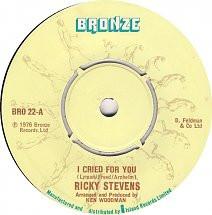 7-дюймовая пластинка RICKY STEVENS - I Cried For You BRO22 Бронзовая 1976 Великобритания Поп Б/у