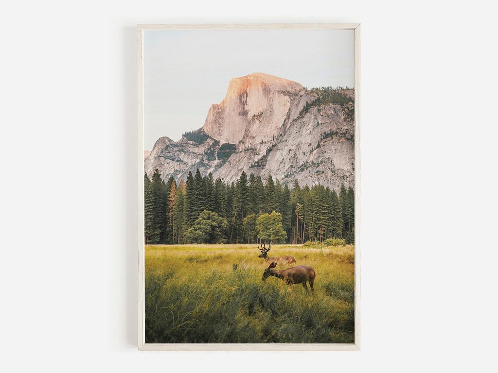 Wildlife Wall Art Western Country Rustic Print Buffalo Bull Elk Cowboy Horse Yellowstone Bison Canvas Painting Home Decor