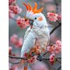 5d DIY Алмазная картина, вышивка крестом, попугай, цветы, алмазная вышивка, мозаика, животные, полный круглый дрель, домашний декор