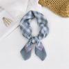 Decorative Simple Texture Silk Scarf Women'S New Style Spring And Autumn Summer Fashion Versatile Headscarf Work Scarf