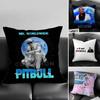 1pc Mr Worldwide Pitbull Pillow Case Fashion Square Pillowcase Bedroom Sofa Room Ins Decoration Leisure