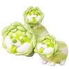 Cute Vegetable Plush Toys Cabbage Dog Fluffy Soft Pillow Stuffed Animals Doll for Kids Baby Girls Gifts