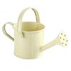 Home Kawaii Vintage Metal Water Spraying Pot Watering Can Flower Kettle