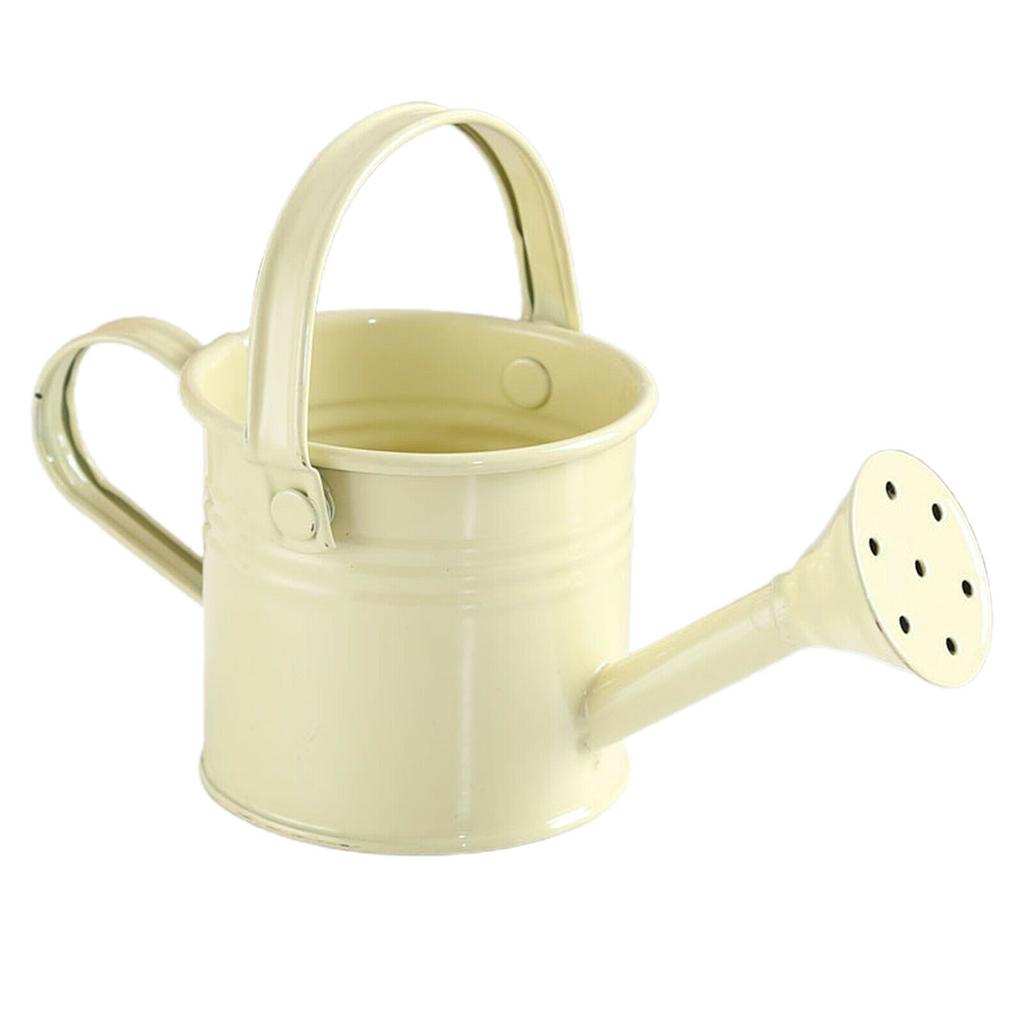 Home Kawaii Vintage Metal Water Spraying Pot Watering Can Flower Kettle