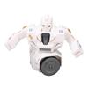 Remote Control Fighting Robot for Kids Rotating Battle Boxing NaMachine Model Toy Built in 2000mAh Battery