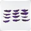 20pcs Pheasant Chicken Feathers Diy Earrings Jewelry Making Dream Catcher Wedding Centerpiece Decor Crafts Material Accessories 