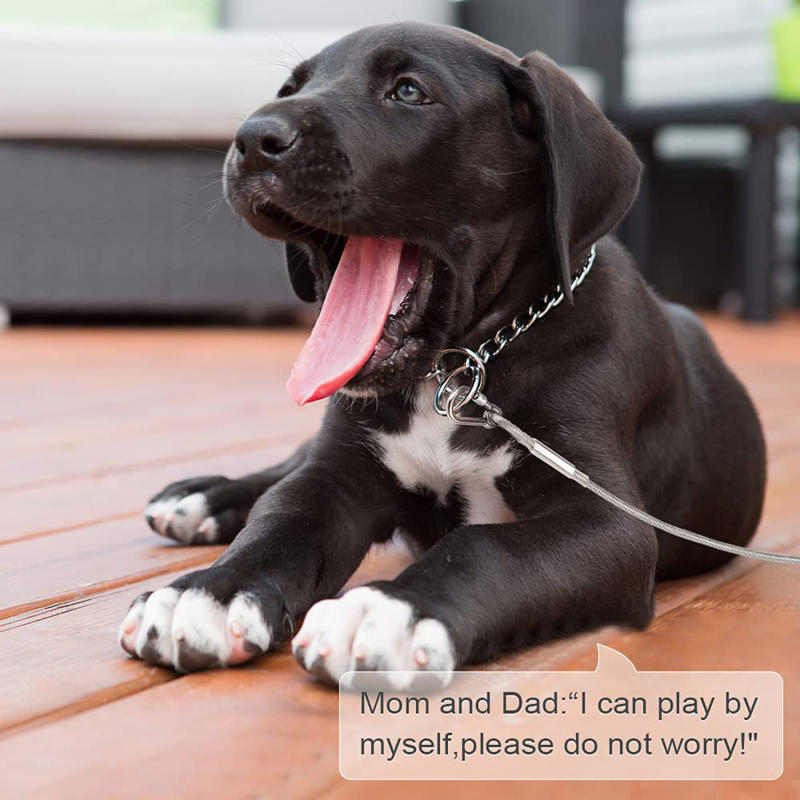 Outdoor Stainless Steel Dog Leash Heavy Duty Dog Tie Out Cable Pet Runner Cable Leads for Yard, Line Tether for Medium Large Dogs