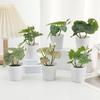 Green Green Plant Potted White Flowerpot Simulation Plant Potted Creative Desktop Ornament  Gift