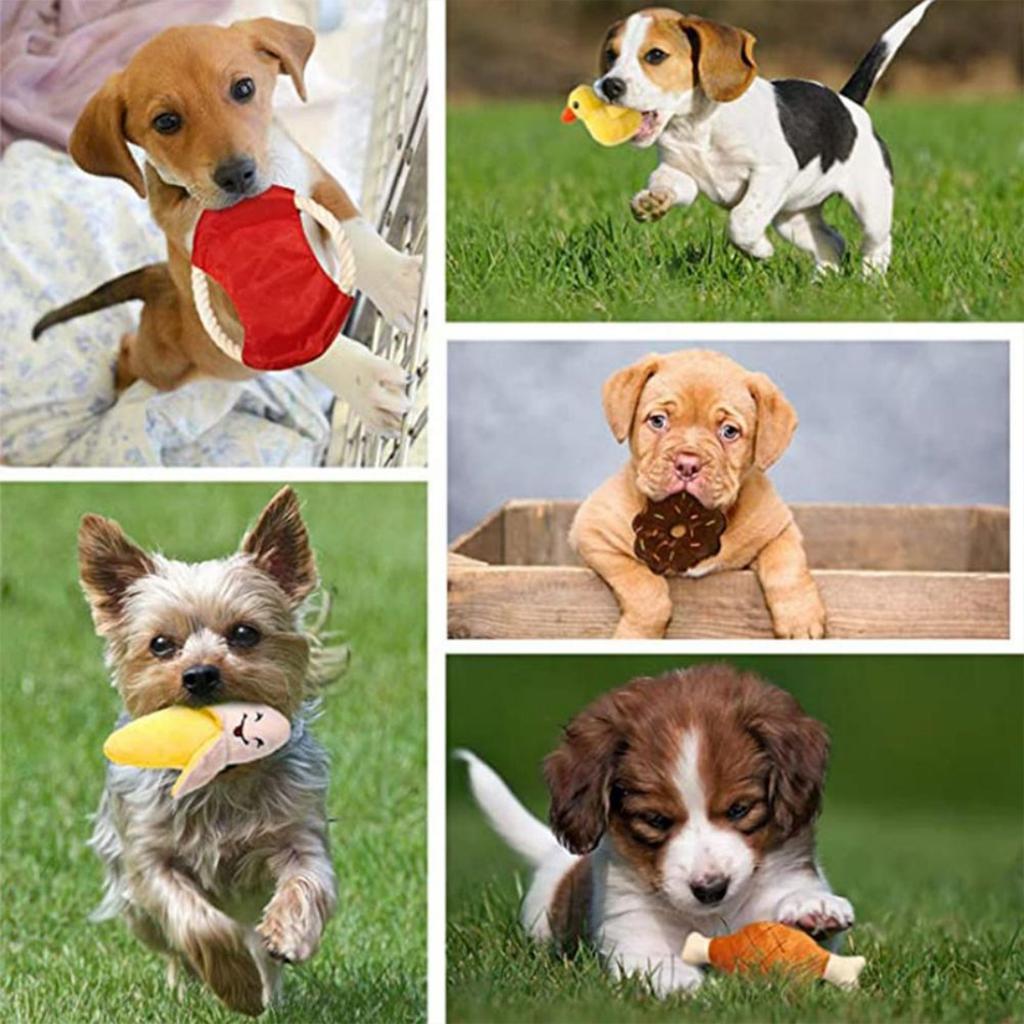 Stress Relief Pet Plush Toy Colorful Cartoon Fruit Animal Shape Bite-resistant Sounding Doll Molar