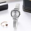 Simple Mesh Belt Women'S Watch High Value Student Waterproof Quartz Watch Women'S Small And Exquisite Watch