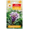 Семена Datura Surmiflower Ballerina 0,2г цветы для сада