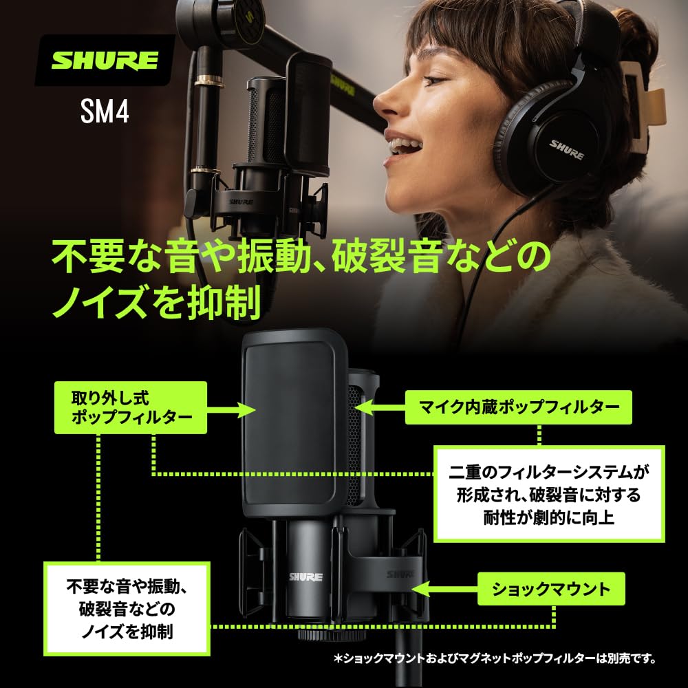 Shure Condenser XLR Unidirectional Professional Recording Vocal Musical Instrument Musician YouTube Vtuber Video Distribution Home Recording Live DTM