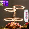 USB Plant Grow Light With Circular Memory Timing Function 8H 12H 16H Timer Modes For Indoor Plant