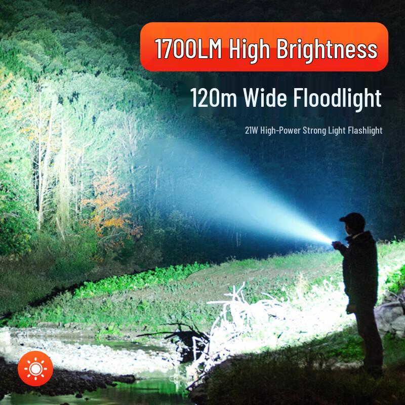 Philips SFL2189P Portable Emergency Flashlight